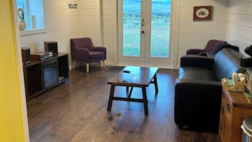 TV connectée, cheminée, livres, écrans d'ordinateur