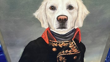 Acepta mascotas