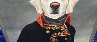 Bed and Biscuit Inn 
Pet friendly !
Near Kingdom come park & Pine mtn.