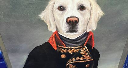 Bed and Biscuit Inn
Pet friendly !
Near Kingdom come park & Pine mtn.