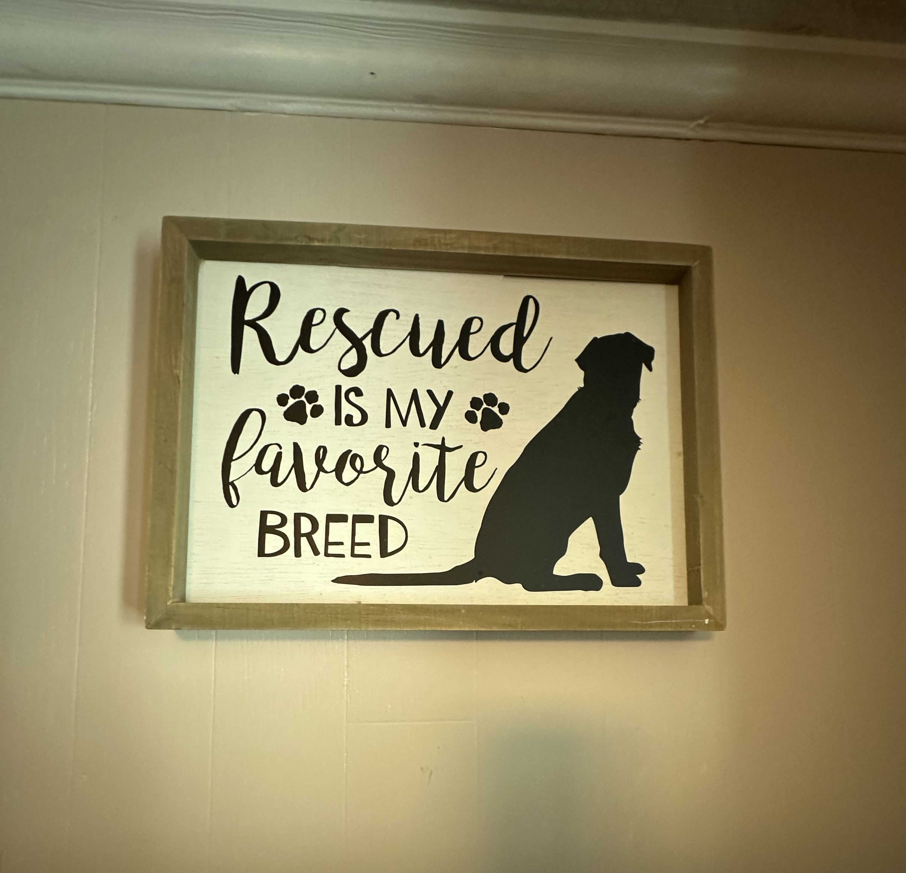 A framed sign with a dog silhouette and text stating "Rescued is my favorite breed."