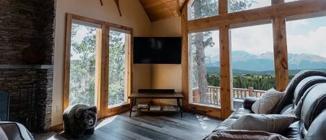 Smart-tv, eldstad, dvd-spelare och böcker