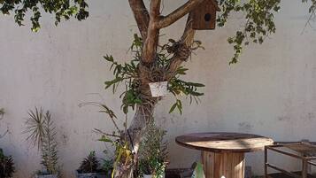 Overnatningsstedets område