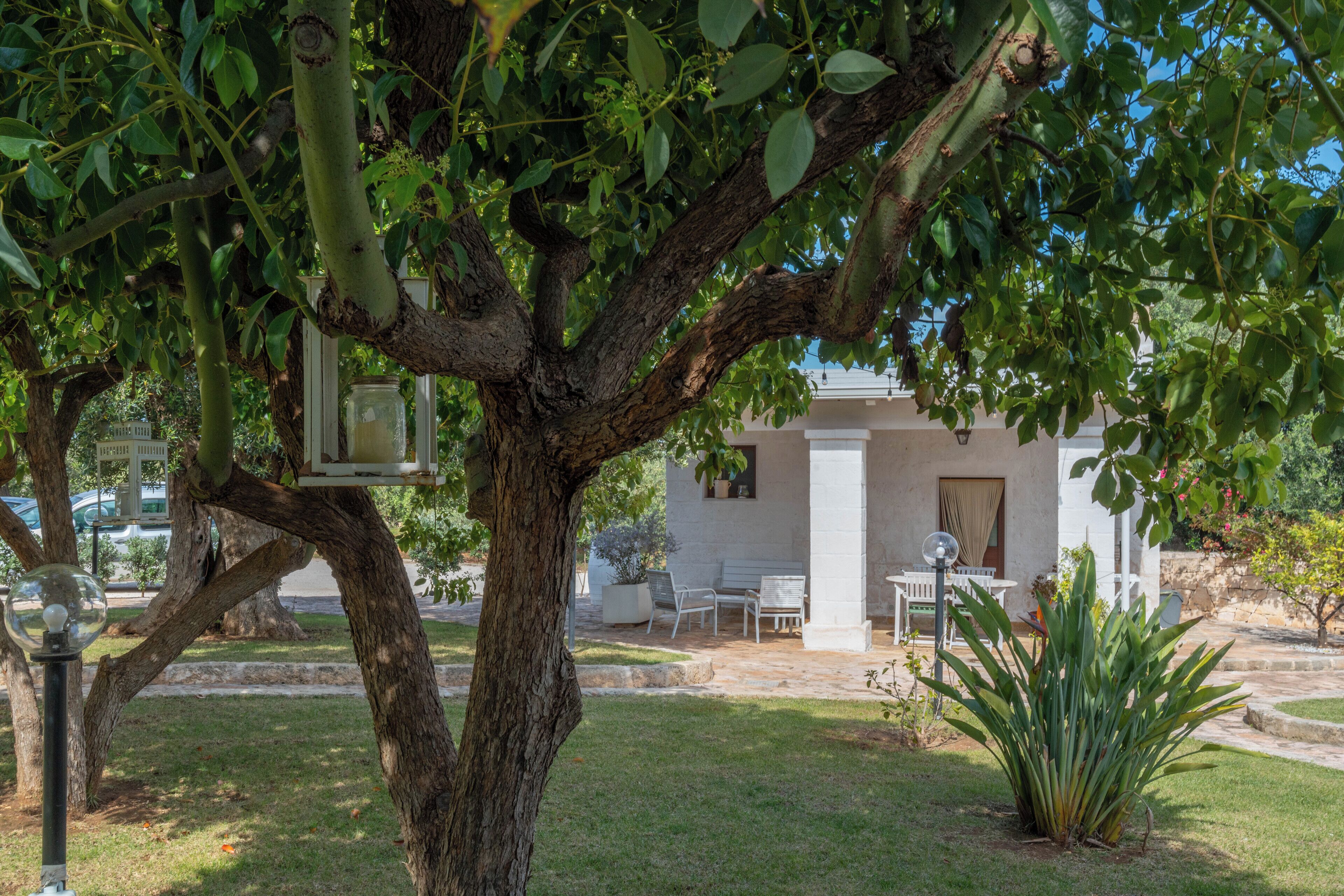 A tree-lined courtyard with a white building, outdoor seating, and a lamp post.