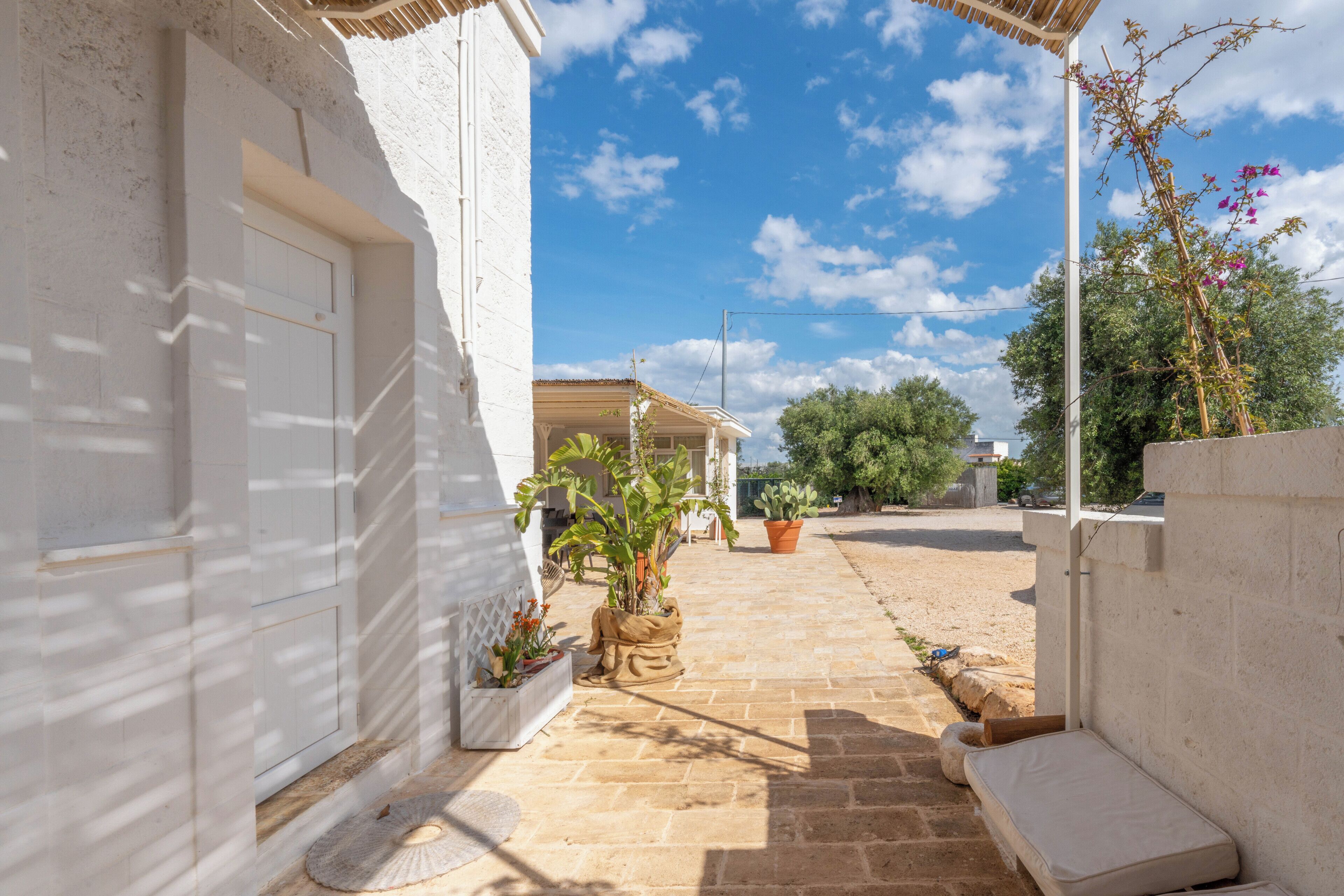 Une cour étroite avec un bâtiment blanc, un pot de fleurs et un petit banc.