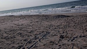 A beach with footprints and tire tracks in the sand, leading to the water. - WATERFRONT!!!  Literally on the water of beautiful Bogue Sound. No better view. (Atlantic Beach)