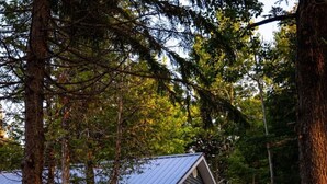 Une cabane avec un toit en métal, une terrasse en bois et entourée d’arbres.