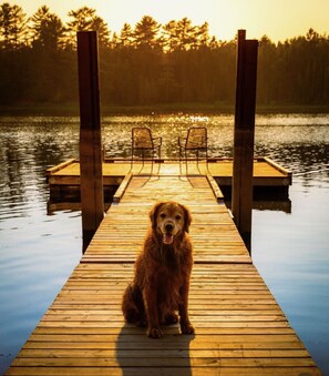 Pet-friendly - Tidal Tranquility Cottage with waterfront (Waweig)