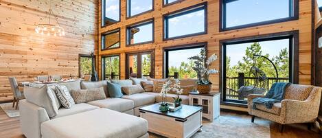 Smart TV, fireplace, stereo