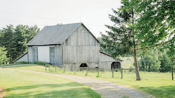 Extérieur