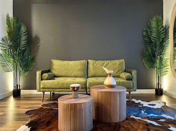 Modern Cosmopolitan Style Apartment Living room with a sofa, and a 55" Smart TV (Netflix, Hulu, and Disney+ we logged them remotely) included for free.