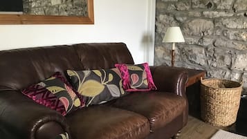 House | Living area | TV, fireplace