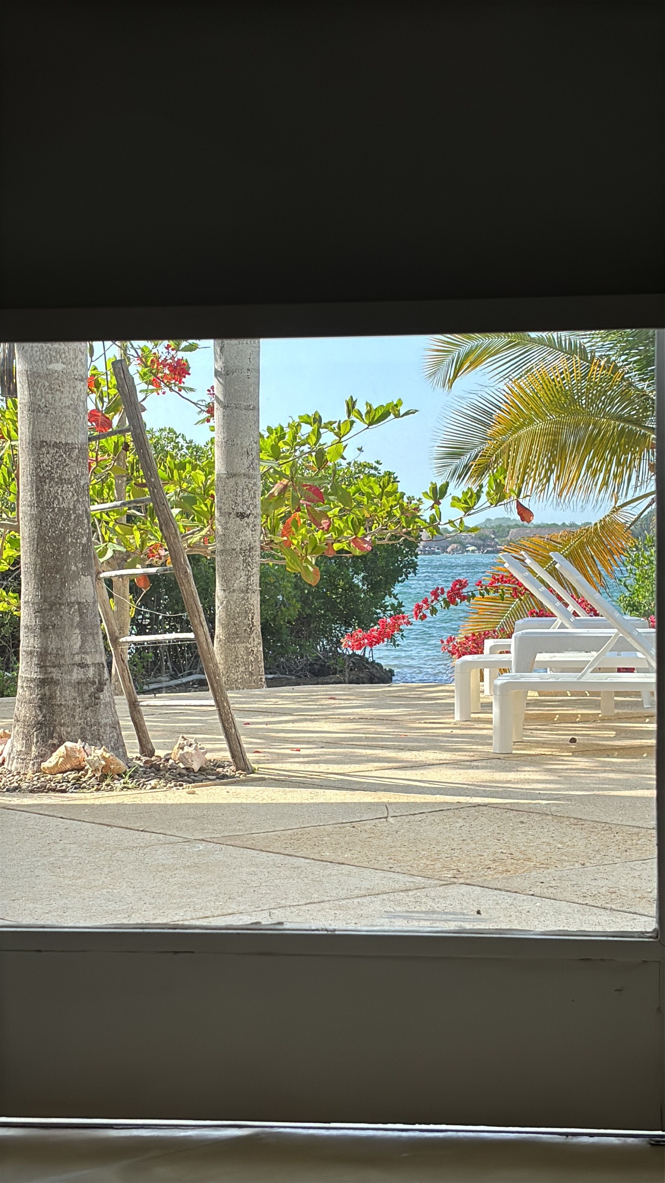 A beachside view with a wooden ladder, lounge chairs, and red flowers.