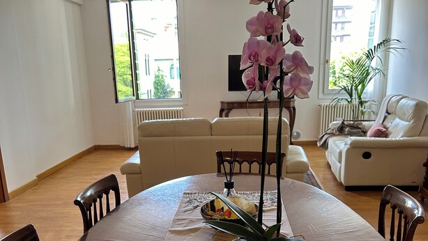 A dining area with a wooden table, chairs, a bowl of fruit, a pink orchid, and a potted plant. - 3 bedroom apartment in venice (Venezia)