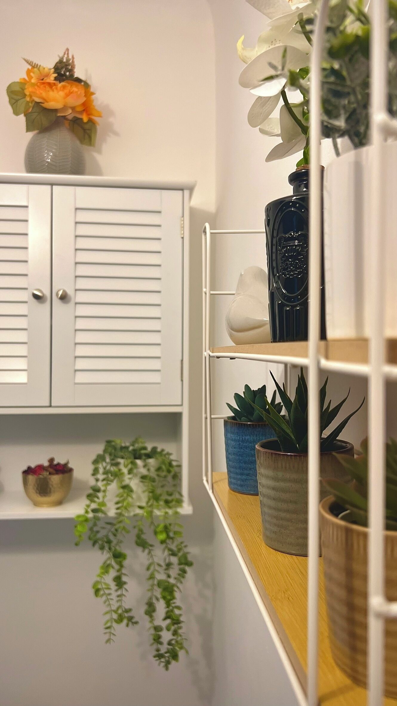 Un mueble blanco con listones horizontales, una estantería con plantas en macetas y una planta colgante.