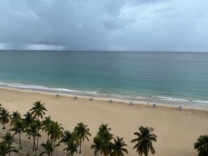 A beach with palm trees and a clear view of the ocean. - 2Bed 2Bath Marbella 15th Floor Condo with STUNNING Beachfront Views, WasherDryer (Carolina)