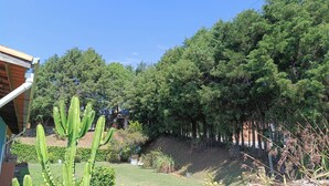 A garden with a variety of plants, including cacti and trees, and a building with a sloped roof. - Green slice (Mairinque)