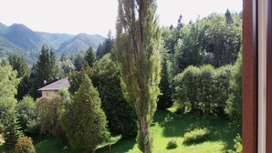 A house surrounded by lush greenery and mountains in the background. - Villa Wellspacher - Private Luxury Family Apartment 2 in Semmering - Ski Holiday (Semmering-Kurort)