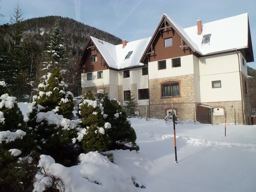 Villa Wellspacher - Private Luxury Family Apartment 2 in Semmering - Ski Holiday