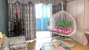 Une pièce avec un fauteuil suspendu, un canapé à motifs, une plante en pot et une vue par une fenêtre avec des rideaux.