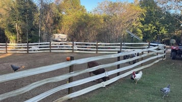 Enceinte de lâhĂ©bergement