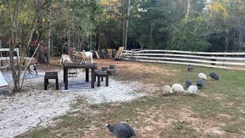 Enceinte de lâhĂ©bergement