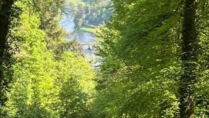 Unclassified image, 2 of 9, button - Beautiful 1-bed Cottage in Graiguenamanagh (Raheendonore)