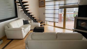 TV, fireplace