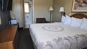 Single Room, 1 King Bed | Free WiFi
