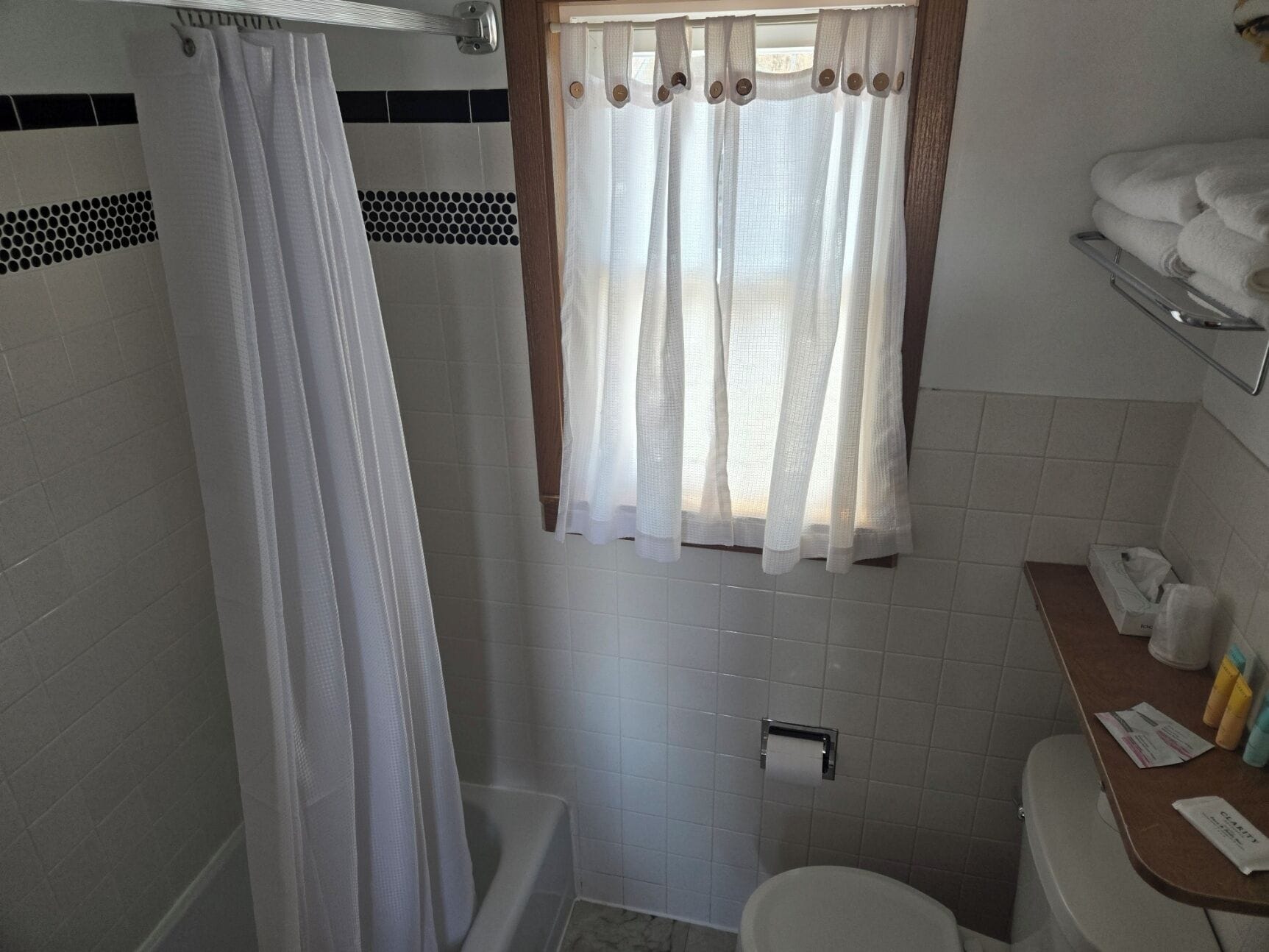A bathroom with a shower curtain, a window with a curtain, a toilet, and a sink with toiletries.