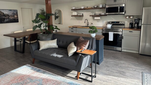 A modern living room with a dark grey sofa, a wooden coffee table, and a large potted plant. A kitchen with stainless steel appliances and wooden countertops is visible in the background.