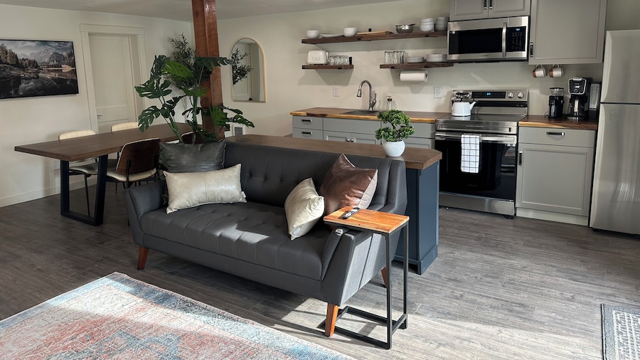 Live Work Downtown Apartment