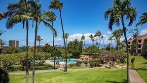 A resort with a swimming pool, palm trees, and a view of the ocean.