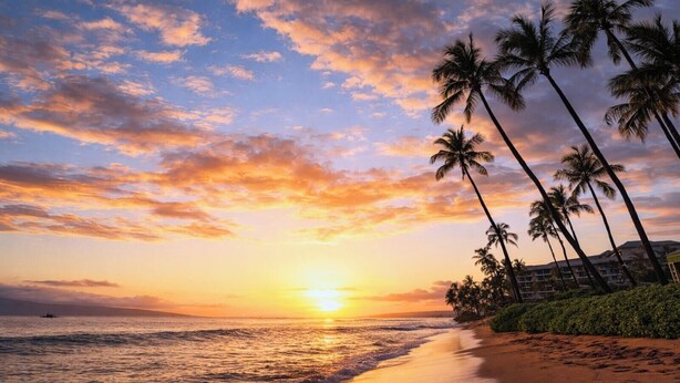 A beach with palm trees and a sunset.