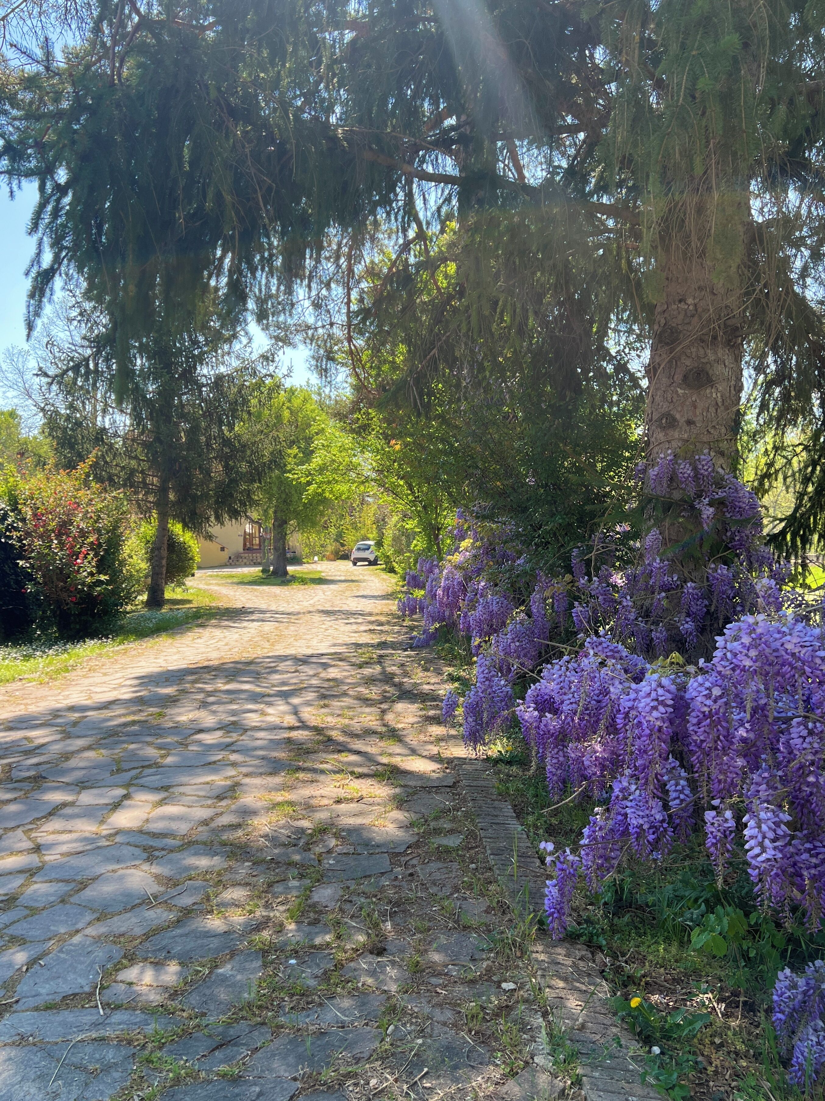 Overnattingsstedets uteområder