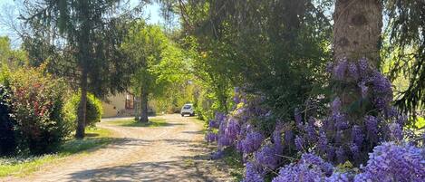 Áreas de la propiedad