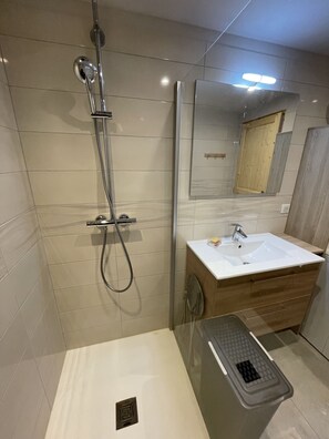 Shower, hair dryer