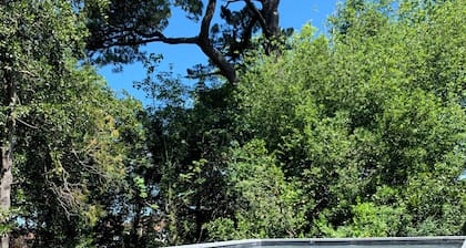 Maison Spacieuse Avec Piscine Dans un Ăcrin de Verdure