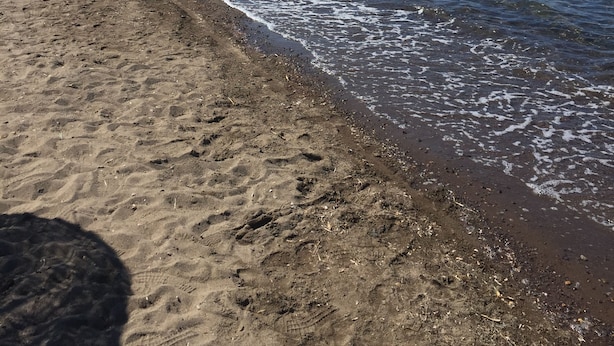 Une plage avec un rivage sablonneux et une mer calme.