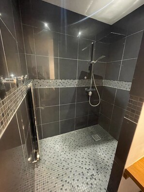 Shower, hair dryer, towels