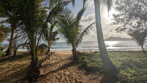 Een strand met palmbomen en uitzicht op de oceaan.