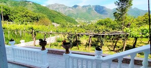 Villa | Property grounds