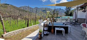 Villa | Outdoor dining