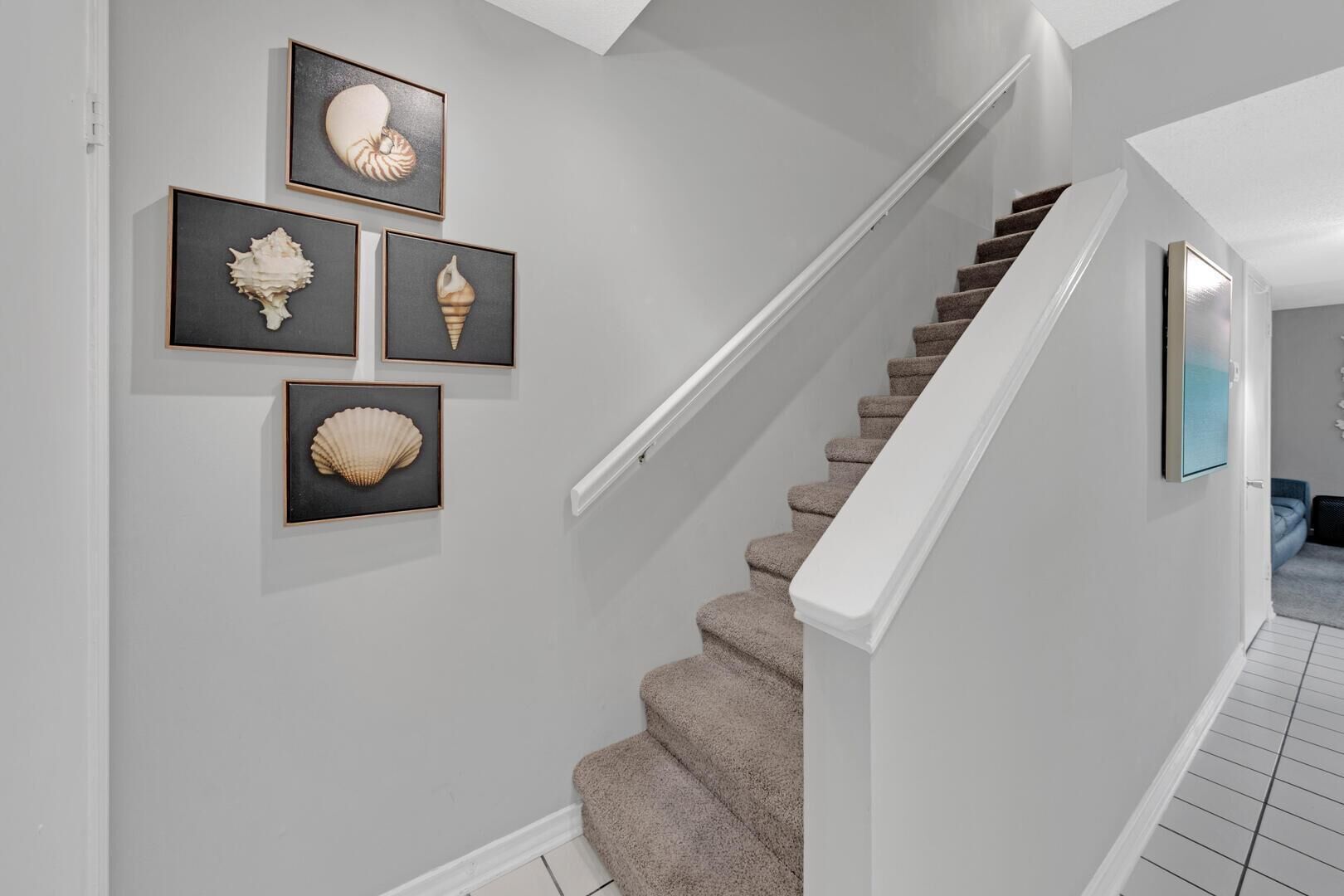A staircase with a carpeted handrail and a wall with framed shell artwork.
