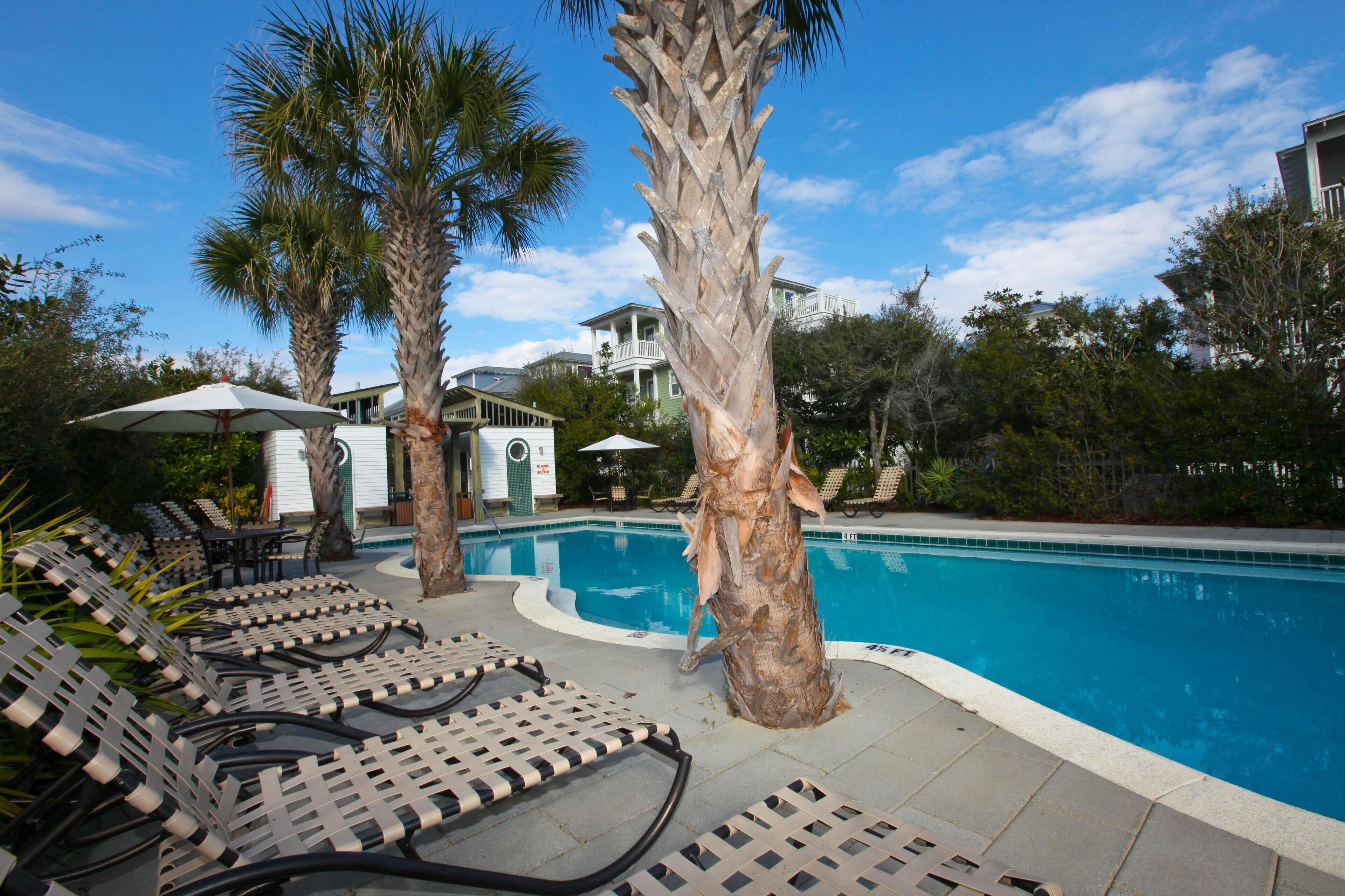 A pool area with lounge chairs, palm trees, and a clear blue sky.