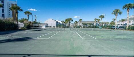 An outdoor tennis court with a net, surrounded by palm trees and buildings.