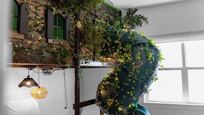 Une pièce avec un mur en briques au style rustique, des fenêtres en arc de cercle peintes en vert, des plantes suspendues et des guirlandes lumineuses.
