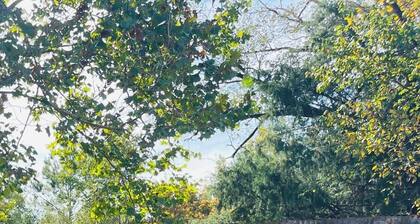 Farmstay- Buckbeak1 Tent/ScreenRoom