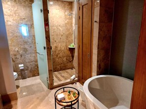 Hair dryer, towels, soap, shampoo - Kingdom of the Sun Vidanta Nuevo Vallarta. (Las Jarretaderas)