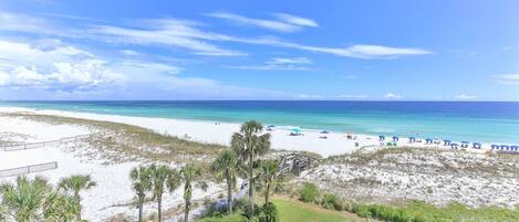 Condo, Multiple Beds (Destin on the Gulf 503) | Beach | On the beach